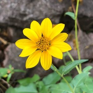 Meet your Posher, Destiny